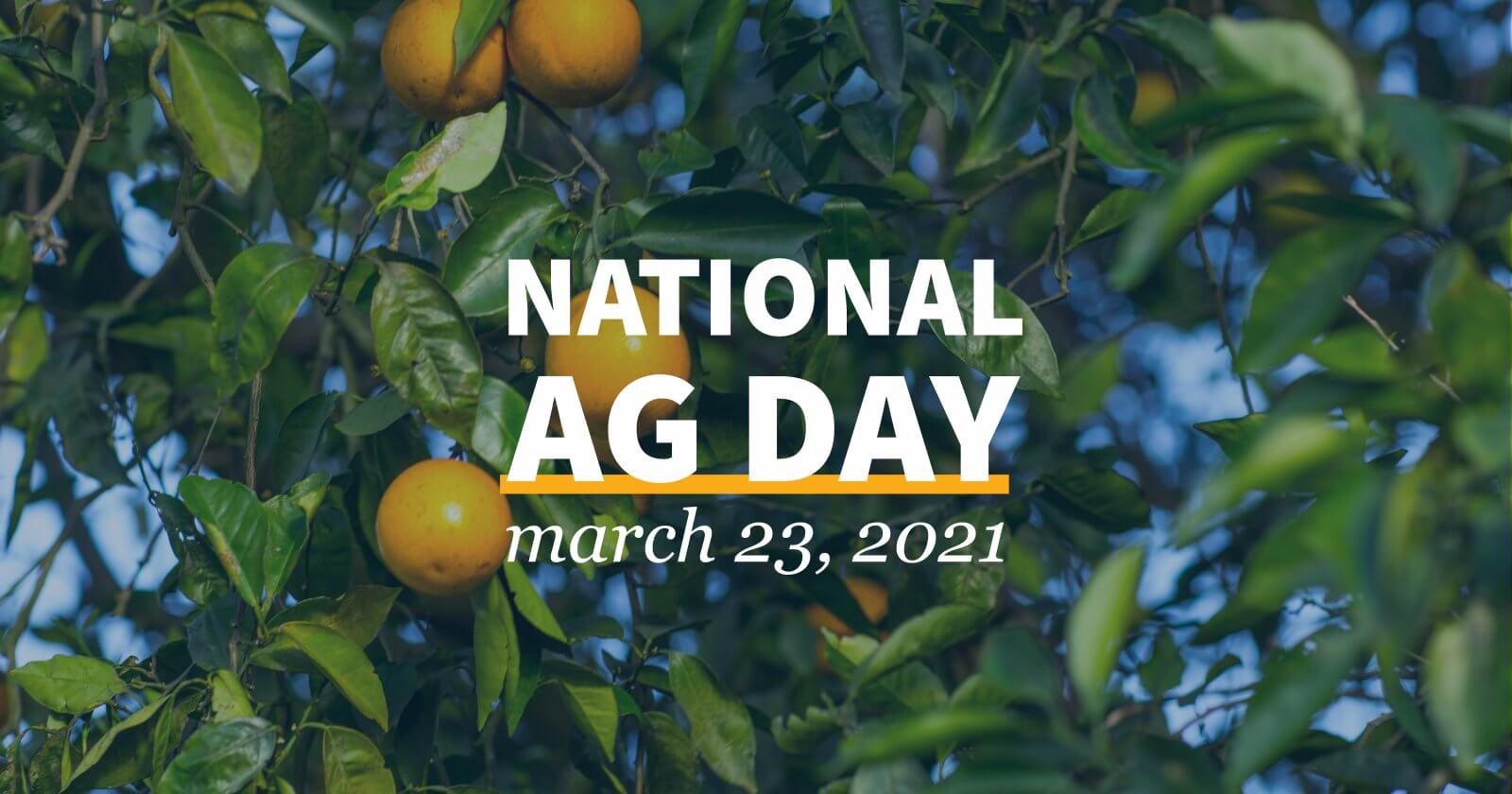 Start a Reservation visual data 8